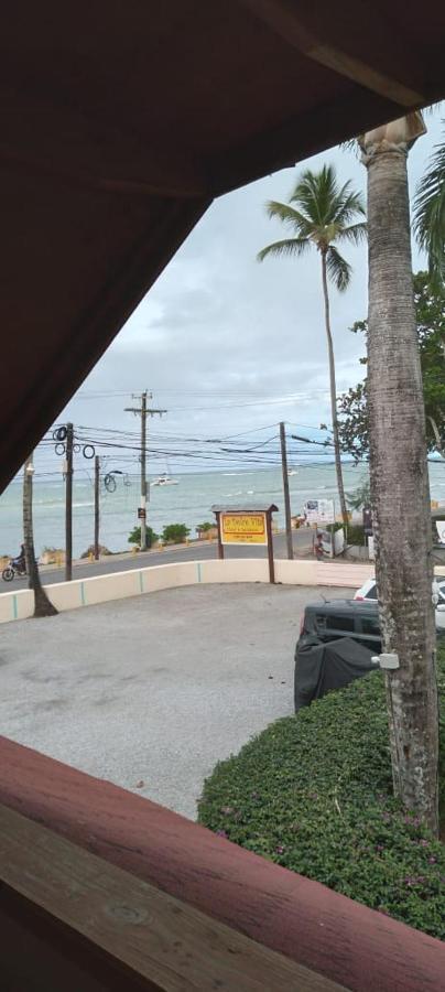 Guest House My Way Las Terrenas Bagian luar foto
